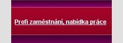 Nabdky prce